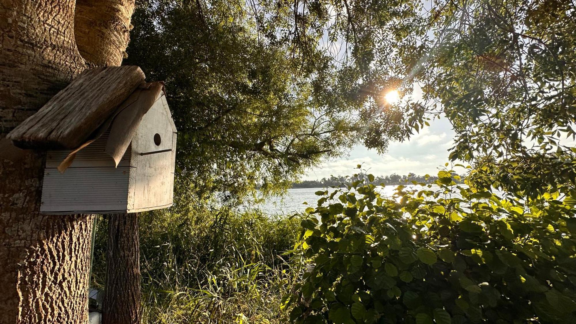 Casa Do Areal, Refugio Das Rotas Pedestres Em Mira Мира Экстерьер фото